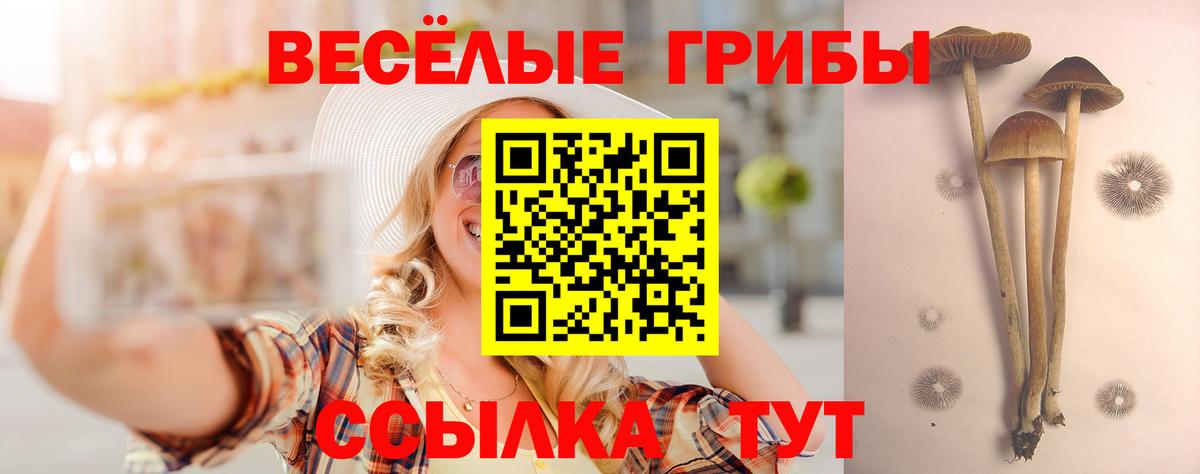 цена   Псилоцибиновые грибы Psilocybe  Вход с VPN  Апрелевка 